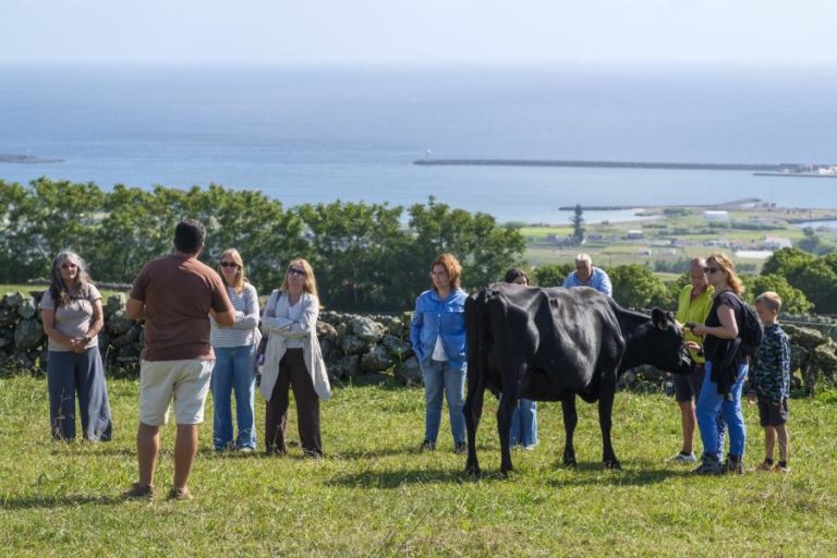 Confederação de turismo diz que setor está a entrar em crescimento sustentável