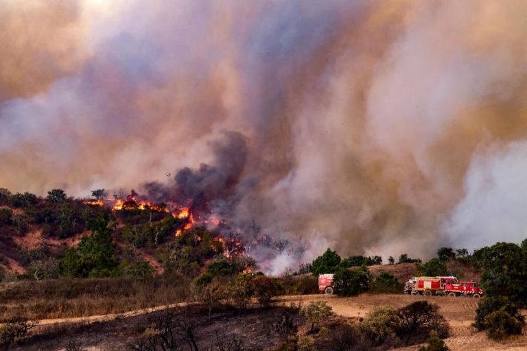 Estudo revela que incêndios florestais poluem o ar mais do que se calculava