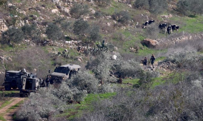 Catorze países apelam a Israel para “cessar expansão de colonatos” na Cisjordânia