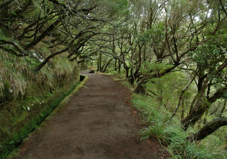 Percursos pedestres na Madeira encerrados devido à previsão de mau tempo no arquipélago