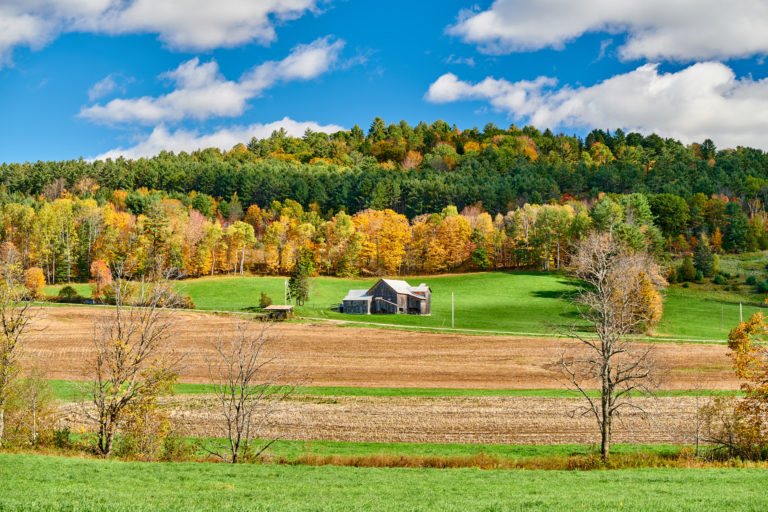 Consulta pública nacional visa plano de ação para áreas rurais no Canadá