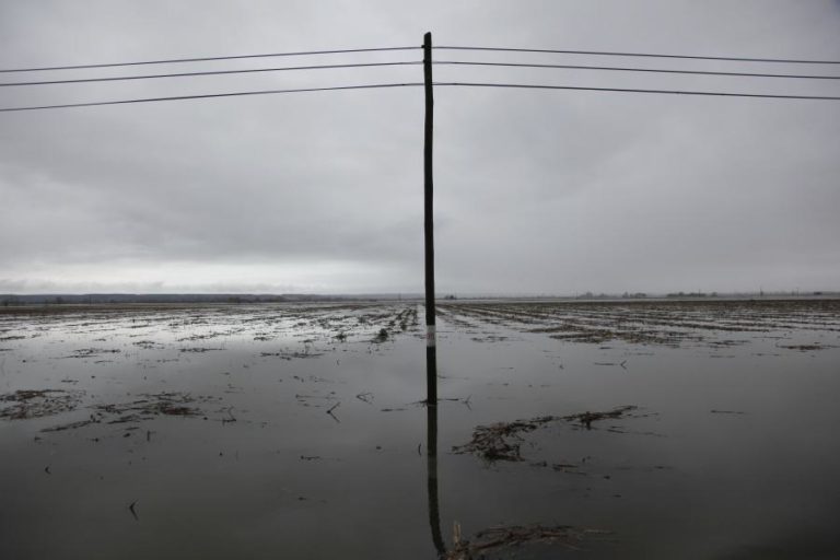 Estradas inundadas na zona da Bacia do Tejo ativam Plano Especial de Emergência para Cheias