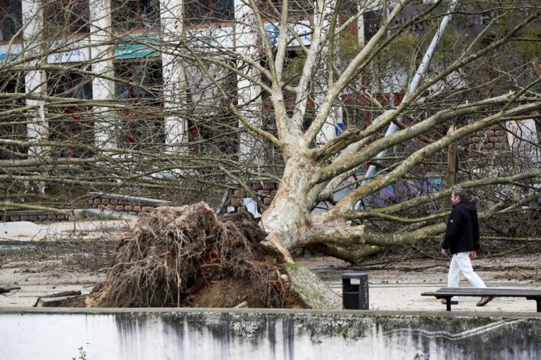 Vários distritos com avisos devido a chuva, vento, neve e agitação marítima