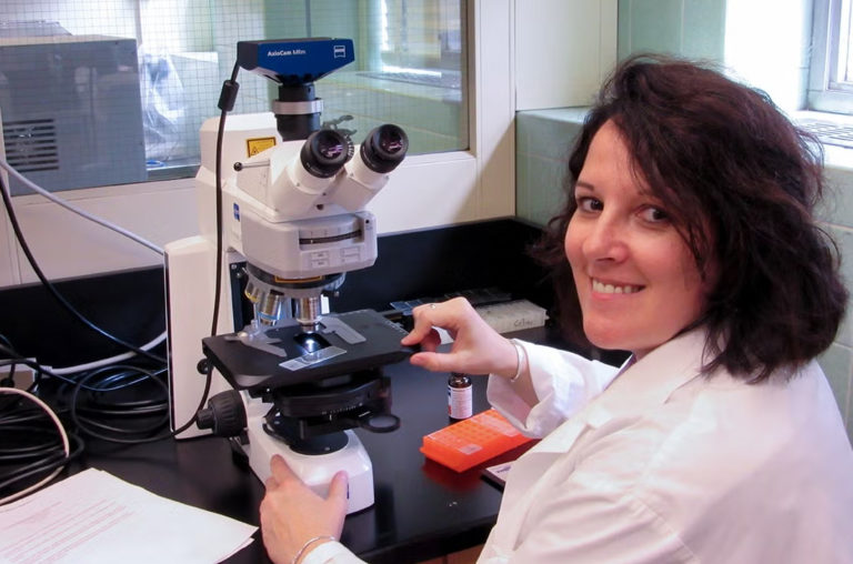 Investigadores de Toronto querem prevenir cáries infantis com probióticos