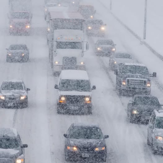 Queda de neve afeta regresso ao trabalho na GTA