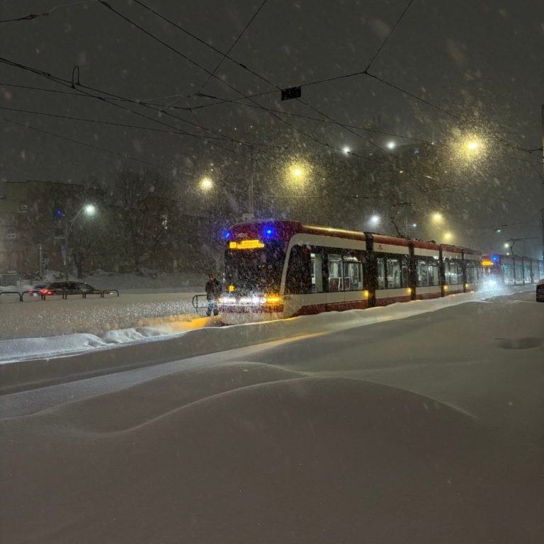 Acúmulo de neve superou os 60 centímetros – o maior em 90 anos