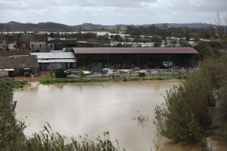 Dique no rio Arunca em Vila Nova de Anços, em Soure, está a ser reforçado