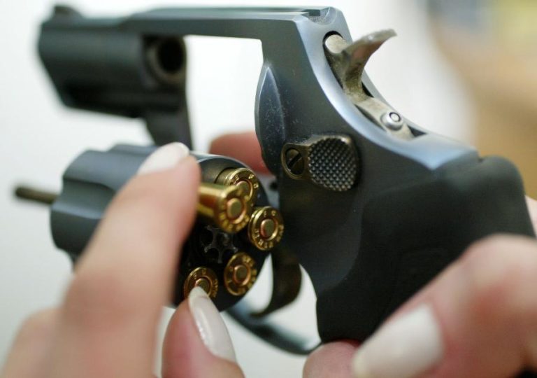 Partidos dividem-se no alargamento do uso de armas pelas forças de segurança