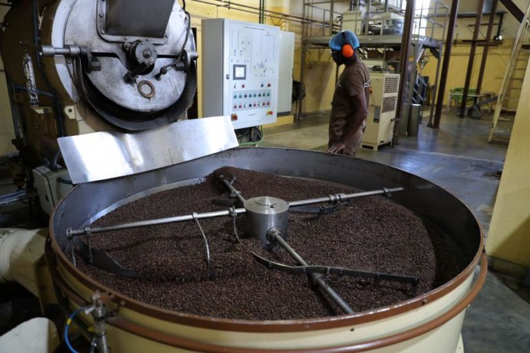 Angola arrecadou 10,2 ME com exportação de café em 2025, um terço para Portugal