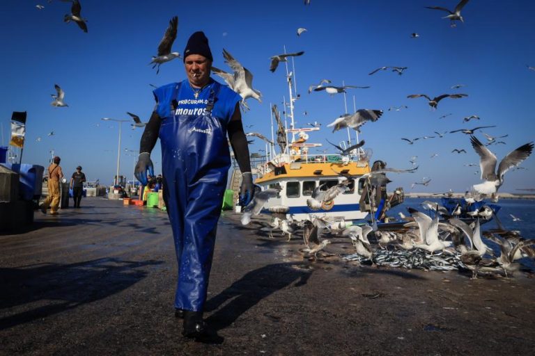Mau tempo: Pescadores falam em “impacto recorde” com barcos parados desde dezembro