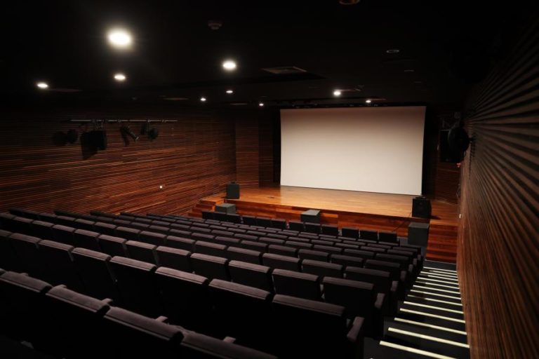Cineclubes e associações apelam ao reforço de apoios à exibição cinematográfica