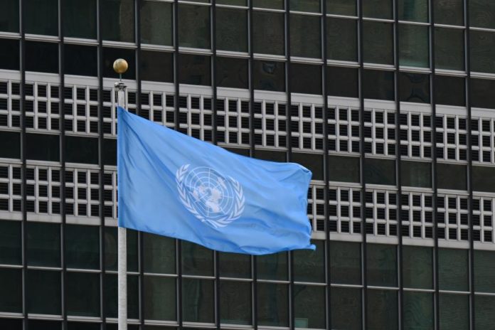 45702520.jpg