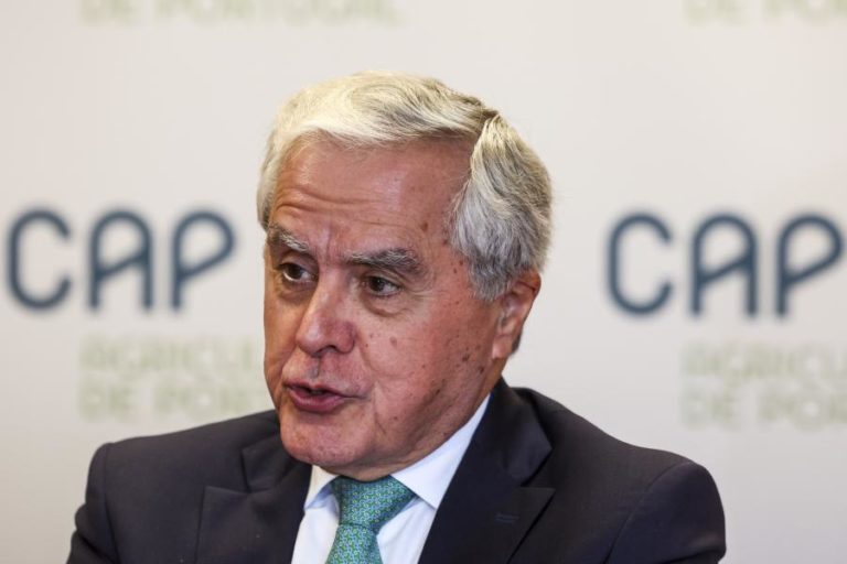 CAP fala em “catástrofe” devido ao mau tempo e pede medidas únicas e apoios a fundo perdido