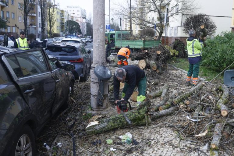 Área Metropolitana de Lisboa contabiliza prejuízos de cerca de 270 ME