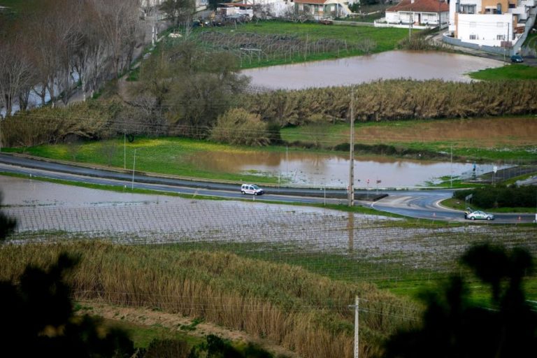 Ministro da Agricultura anuncia 40 ME de apoios devido ao mau tempo