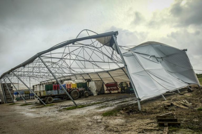 Declarados mais de 449 ME de prejuízos na agricultura e pescas