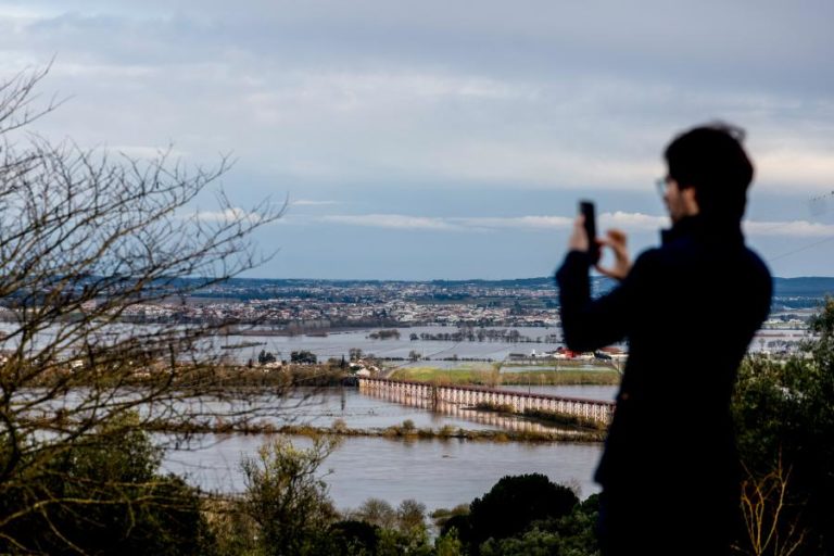 UE analisa pedido de Lisboa para mobilização de reserva agrícola