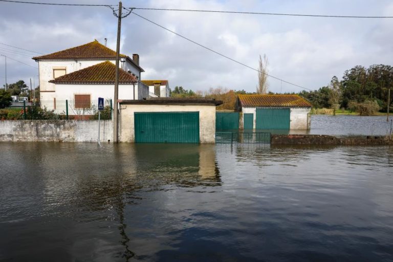 Cerca de 1.200 pessoas deslocadas em várias regiões de Portugal continental devido ao mau tempo