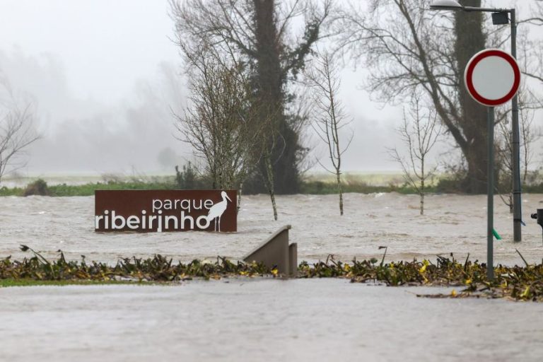 Proteção Civil registava 150 ocorrências às 03:30