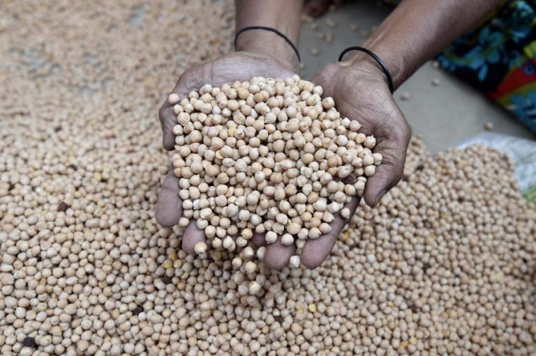 Angola desembolsou 31,7 milhões de dólares para importação de sementes em 2025