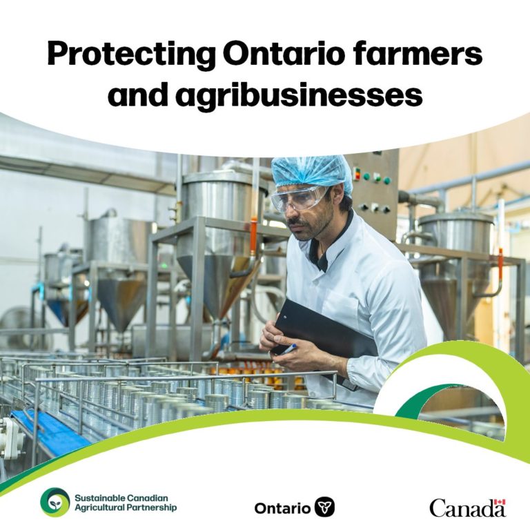 Parceria entre governo federal e de Ontário visa diversificar mercados para agricultores e empresas agrícolas