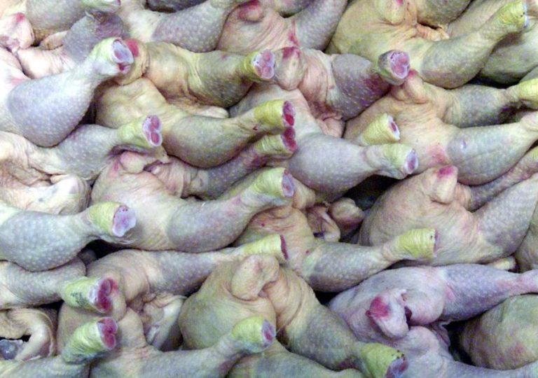 Angola despende 850 mil dólares por dia na importação de frango — governo