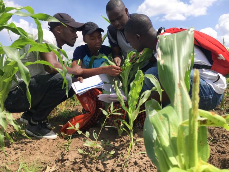 Canadá quer apoiar Moçambique na agricultura, turismo e mineração