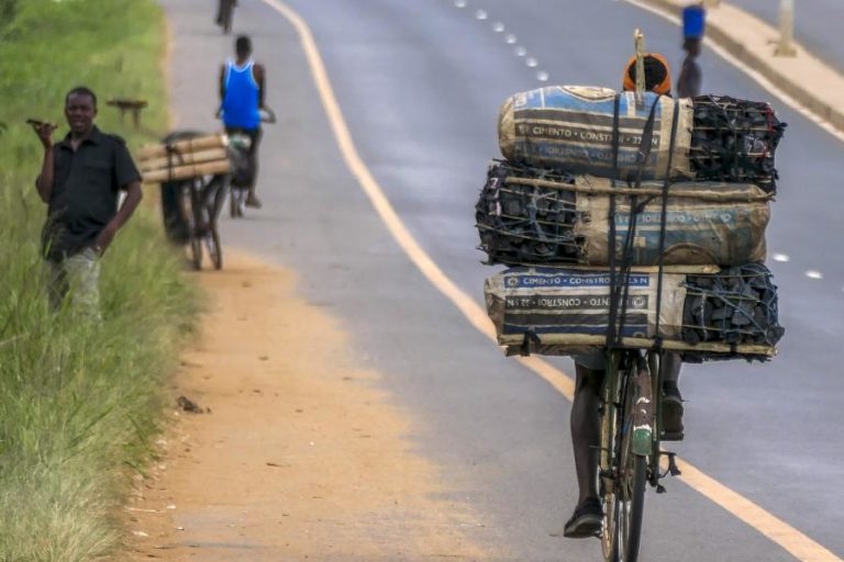 Polícia moçambicana apreende 1.400 sacos de carvão com destino à África do Sul