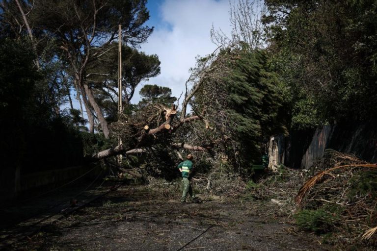 Mau tempo: Cascais estima prejuízos de mais de 6,5 milhões de euros