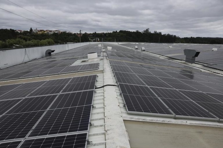 Renováveis geram 79% da eletricidade até fevereiro, o 3.º melhor registo europeu