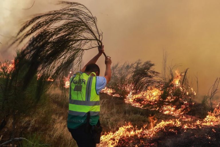 Ocorrências de incêndios rurais aumentam mais de 30% em 2025 – GNR