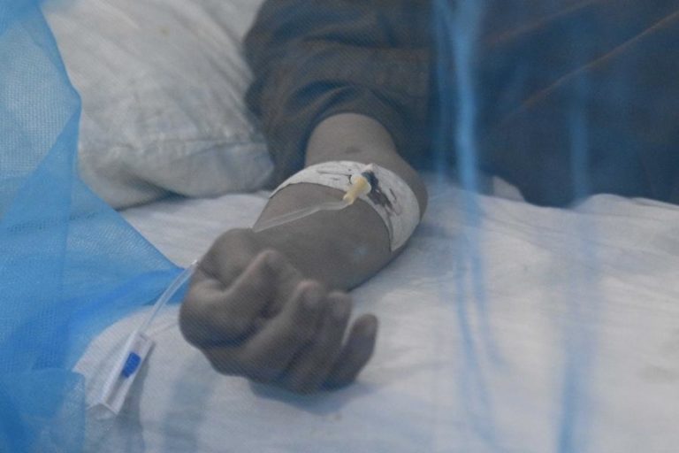 Fundação quer colocar Timor-Leste nas orientações da OMS para combate à dengue