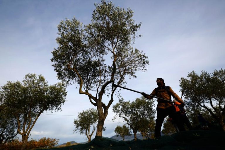 Desemprego recua em janeiro na zona euro e UE – Eurostat