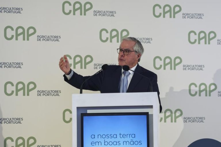 CAP e APED pedem ao Governo que avance com pacote coerente e eficaz de medidas