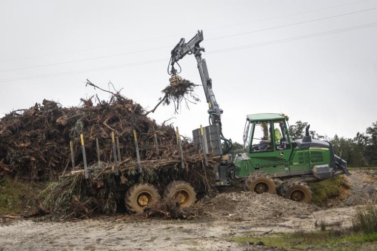 Proprietários florestais alertam para dificuldade na retirada de material lenhoso