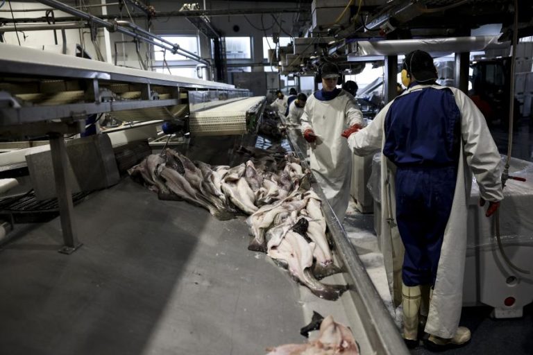 Conselho Norueguês dos Produtos do Mar vai investir até 800.000 euros em Portugal