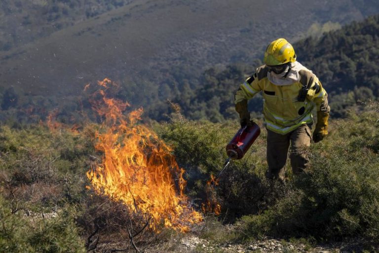 Fogo controlado no inverno ajuda a travar incêndios e renova pastagens