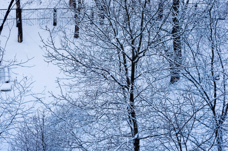 Tempestade de gelo provoca cortes de eletricidade em Quebec