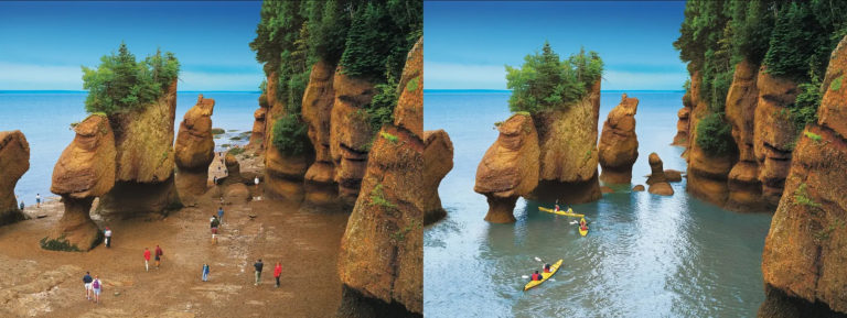 Marés Gigantes, Baleias E Aventuras Em New Brunswick