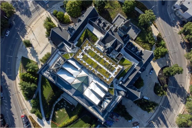 U of T recorre a tecnologia aérea para analisar telhados verdes