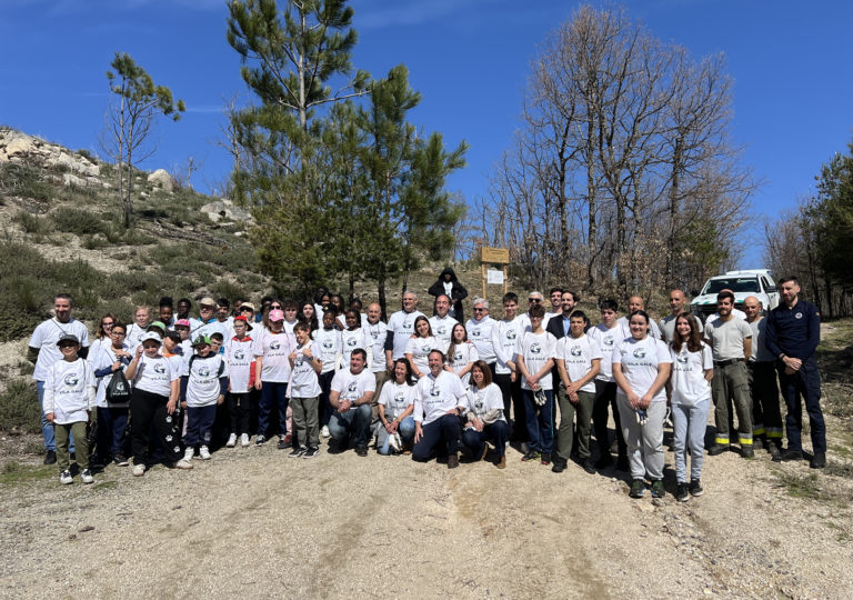 Vila Galé conclui projeto de reflorestação na Natural da Serra da Estrela