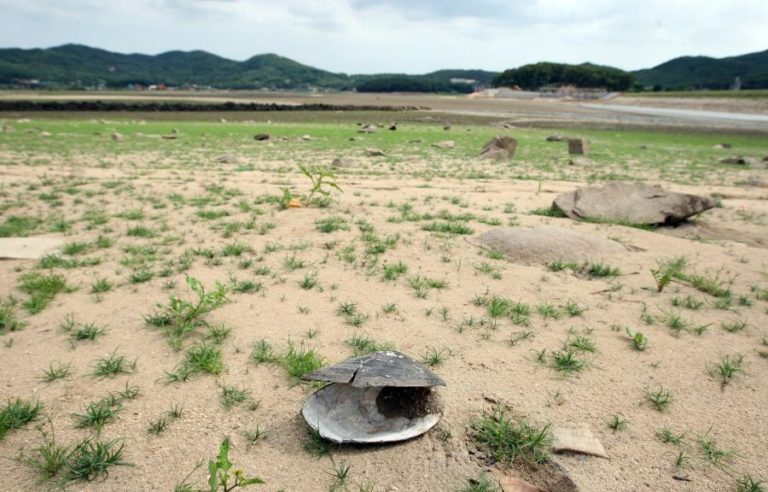 Coreia do Norte enfrenta “grave seca” em “grande parte do território”
