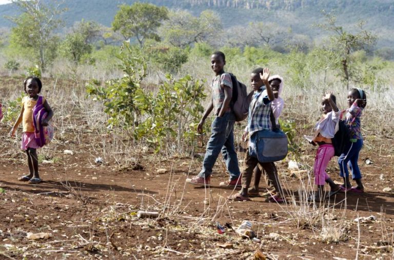 Mais de 10 mil turmas estudam ao ar livre em Moçambique – Governo