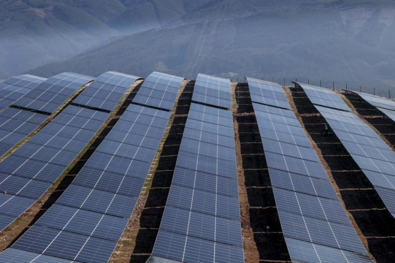Ambientalistas exigem transparência sobre centrais solares na Beira Baixa