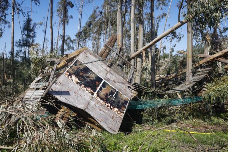 Autoridades europeias defendem seguro comum para riscos de catástrofes naturais na UE