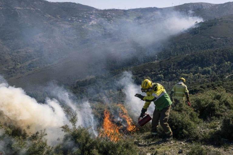 Ministro da Administração Interna reconhece que o verão vai ser “muito duro” no risco de incêndios florestais