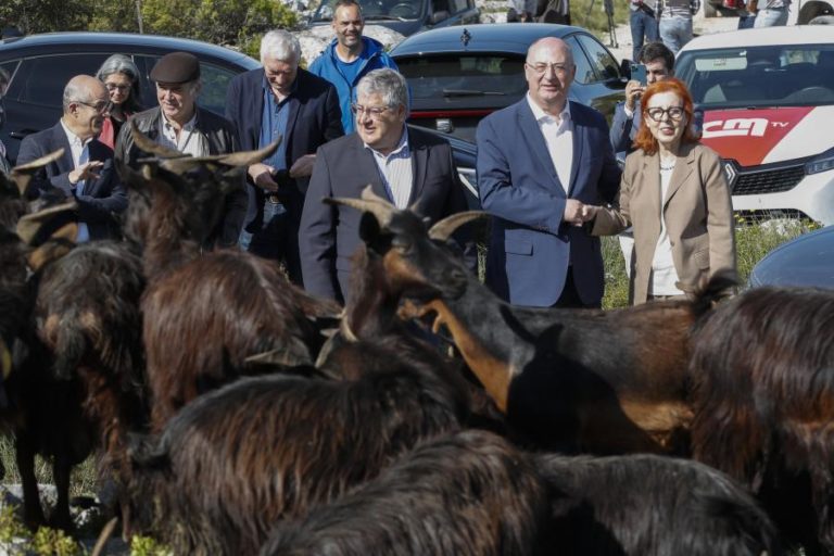 Governo investe 30 ME por ano para apoiar pastores e controlar risco de incêndios