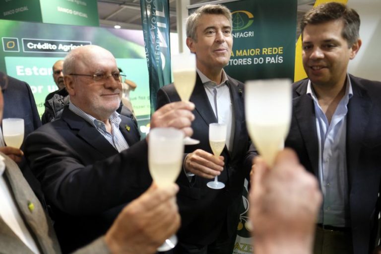 Líder do PS diz que estão em risco apoios diretos à viticultura no próximo quadro