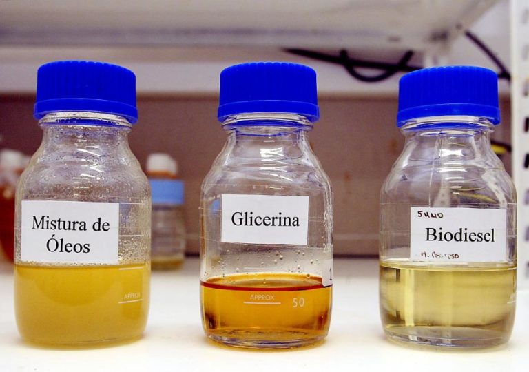 Ambientalistas pedem recolha de óleos alimentares para substituir combustíveis