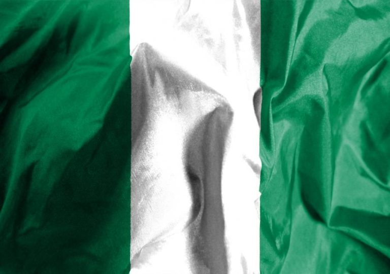 Operação militar conjunta da Nigéria e dos EUA mata pelo menos 175 membros do EI